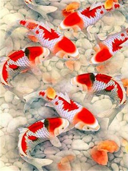 HUACAN Full Square Diamond Painting Animal Rhinestones Mosaic 5D DIY Diamond Embroidery Full Display Fish Home Underwater